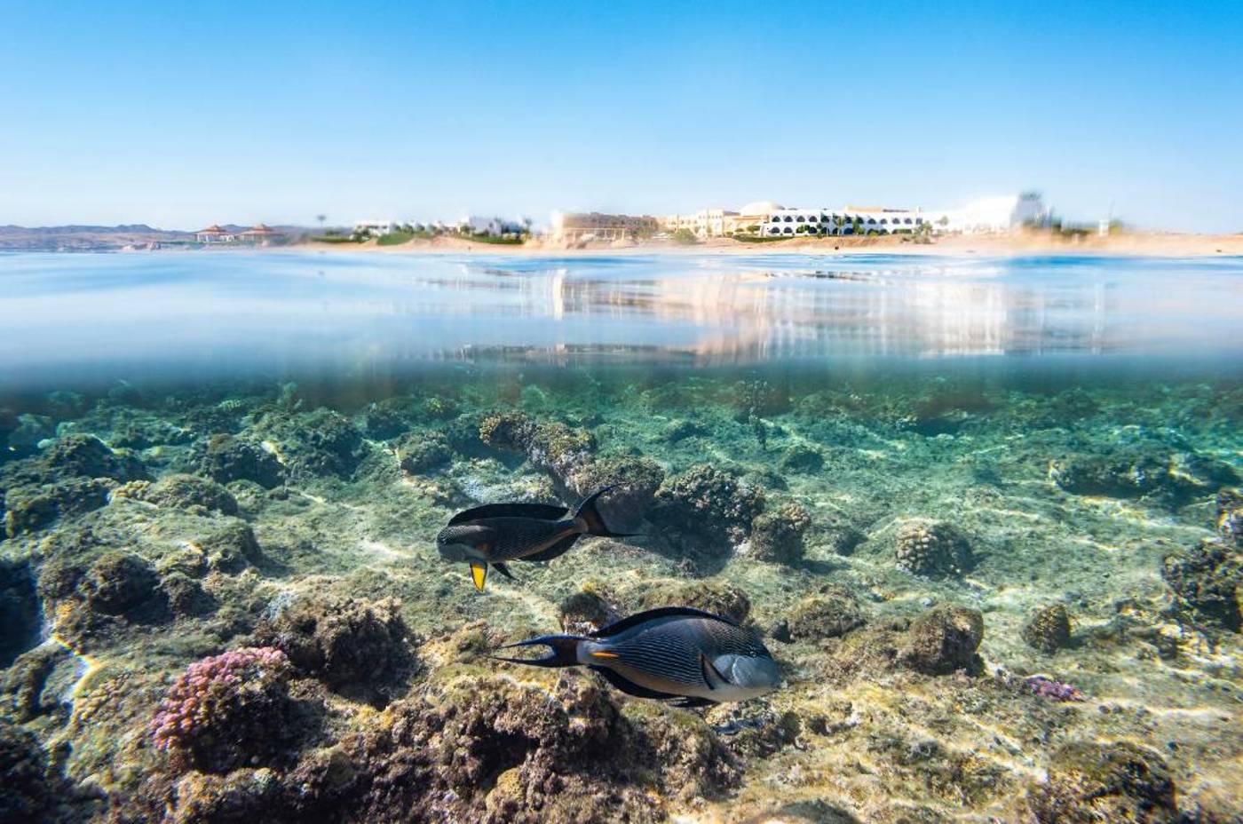 Three Corners Equinox Beach Resort