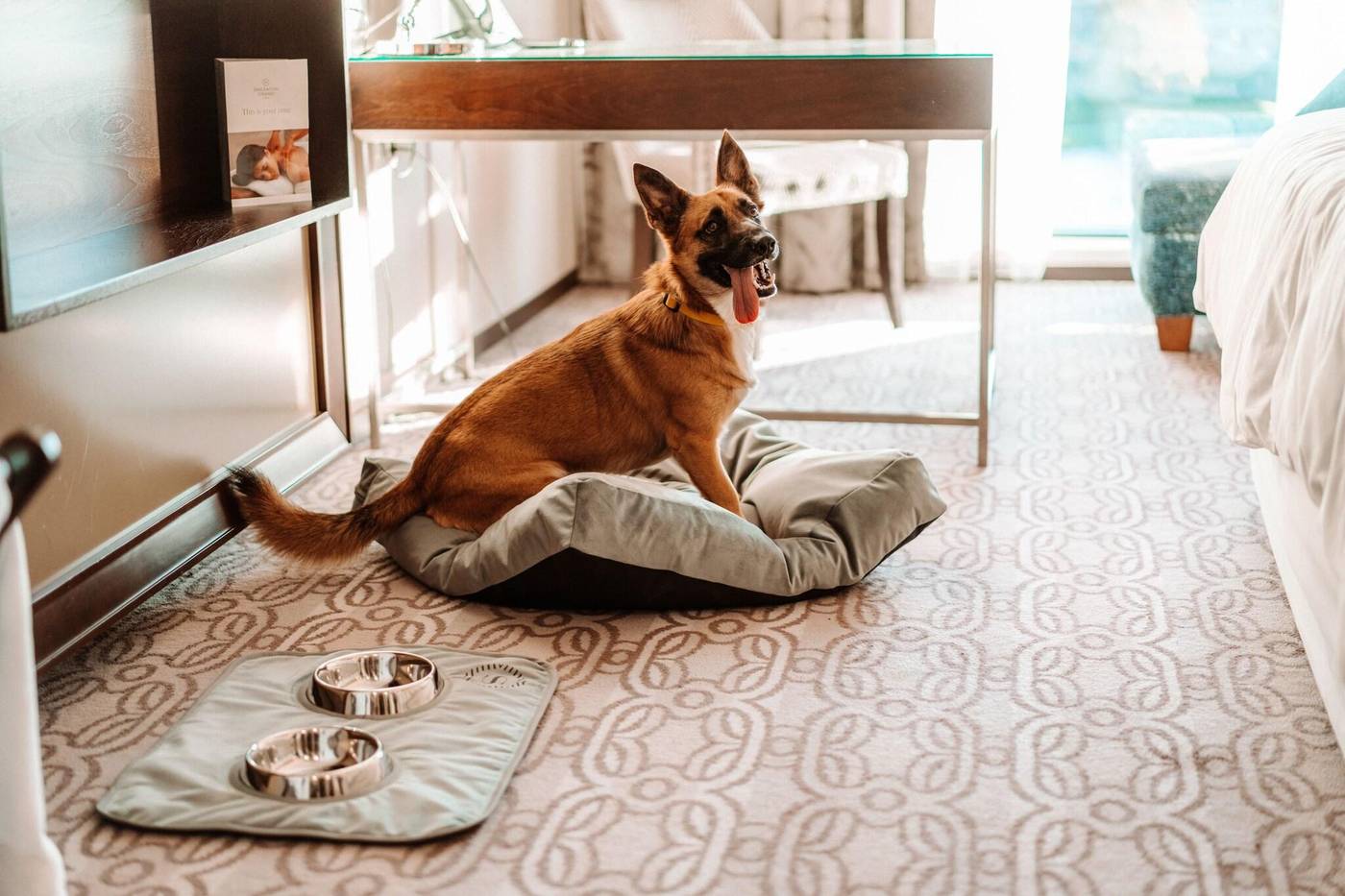 Sheraton-Grand-Krakow-Room-48