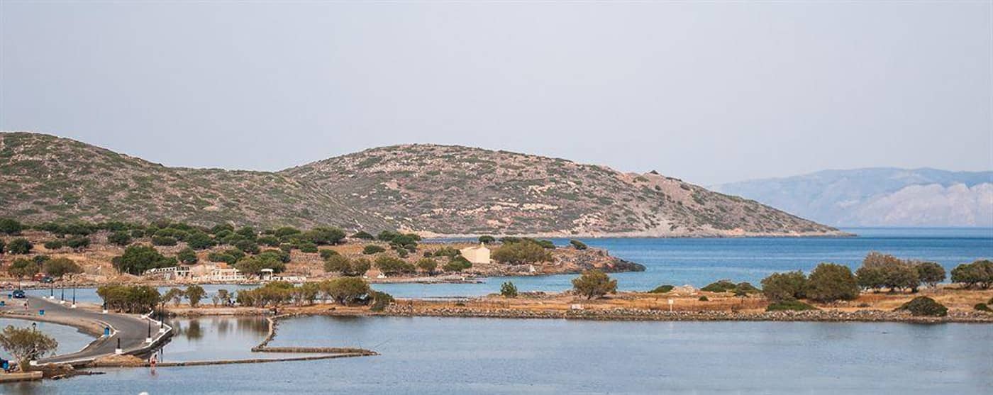 Elounda-Olive-Garden-Studios-General-view-19