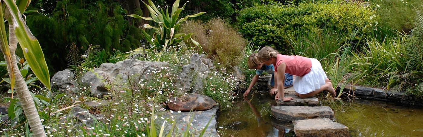 Vineyard-Hotel-Sports-and-Entertainment-56