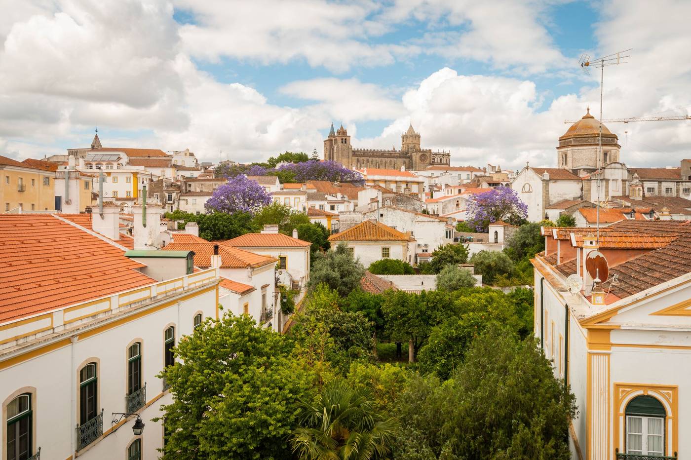 Evora Olive Hotel-Portugal-EVORA-General view-1