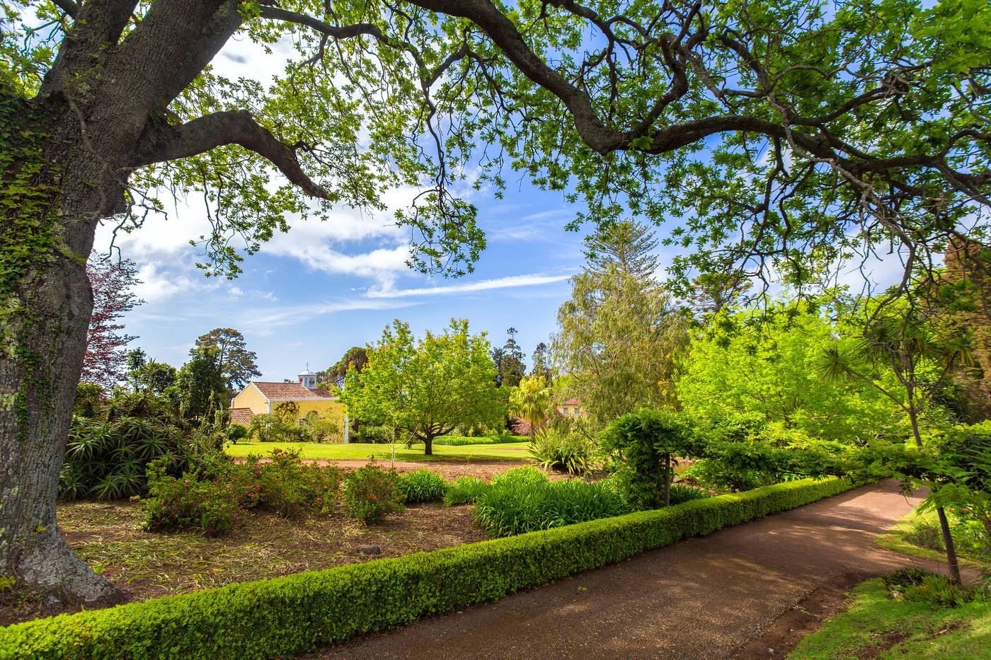 Casa-Velha-do-Palheiro-Sports-and-Entertainment-6