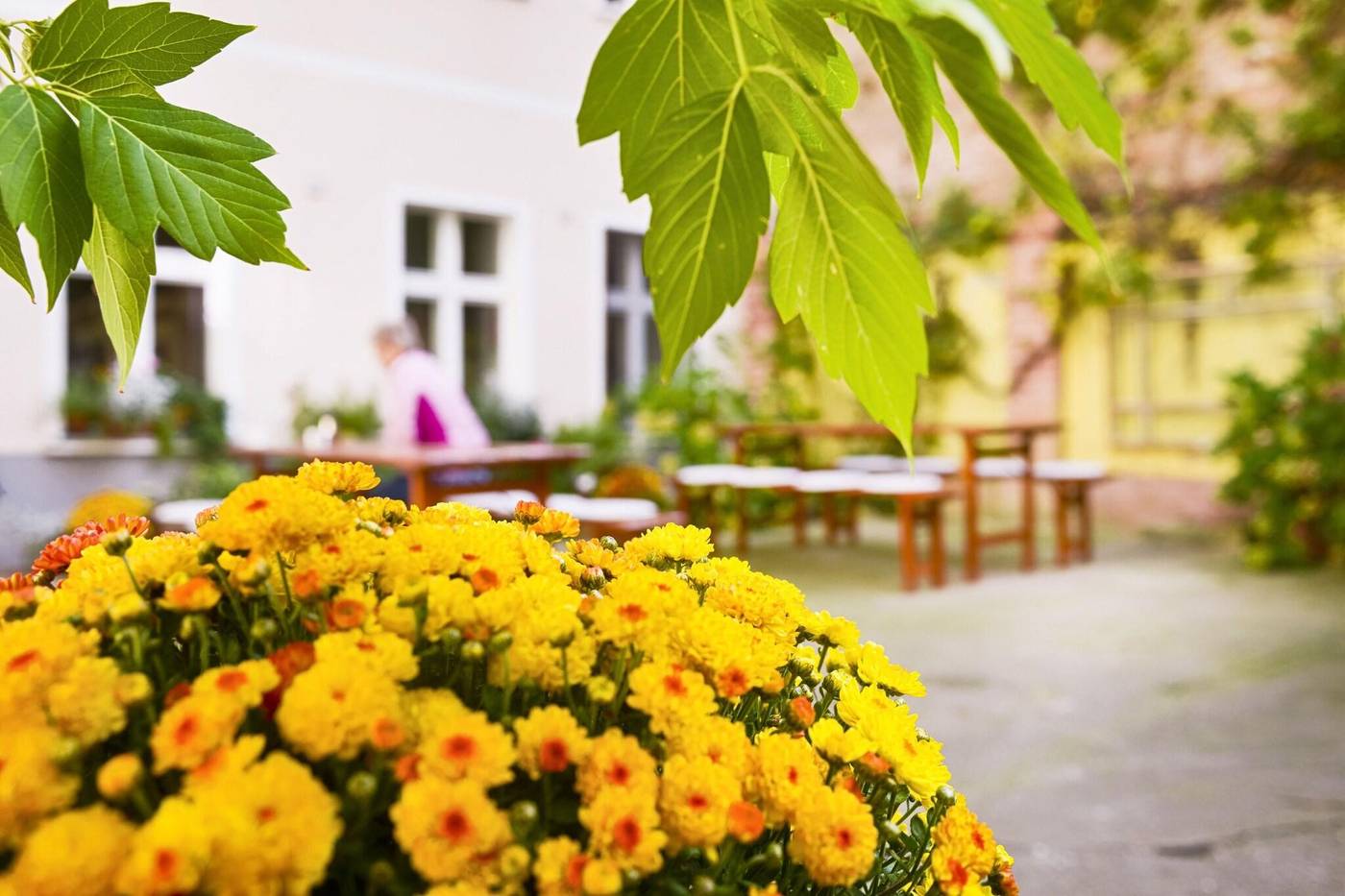 Old-Town-Hotel-Greifswalder-Strasse-Terrace-7