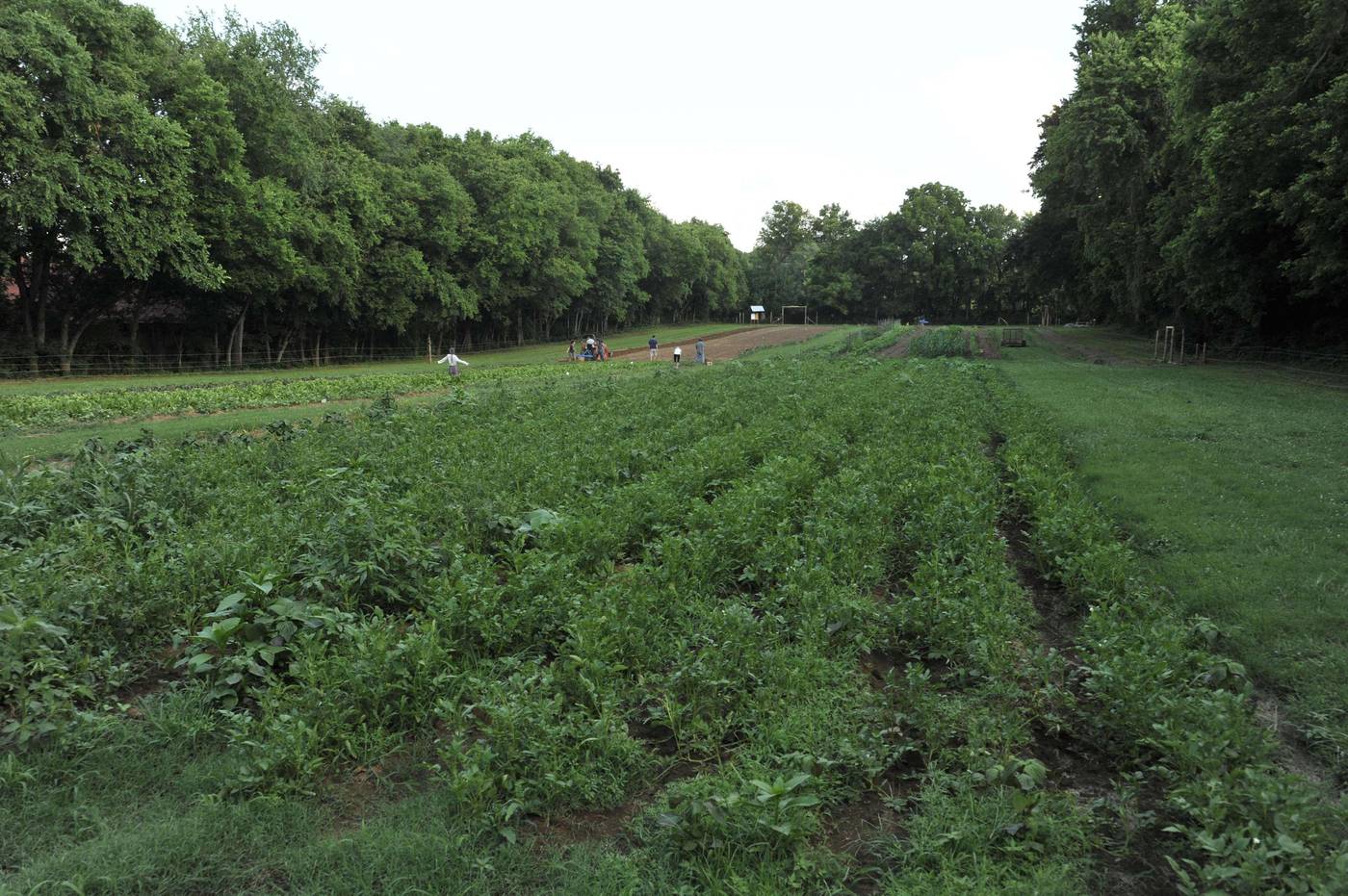 The Hermitage Hotel-United States-Nashville-General view-5