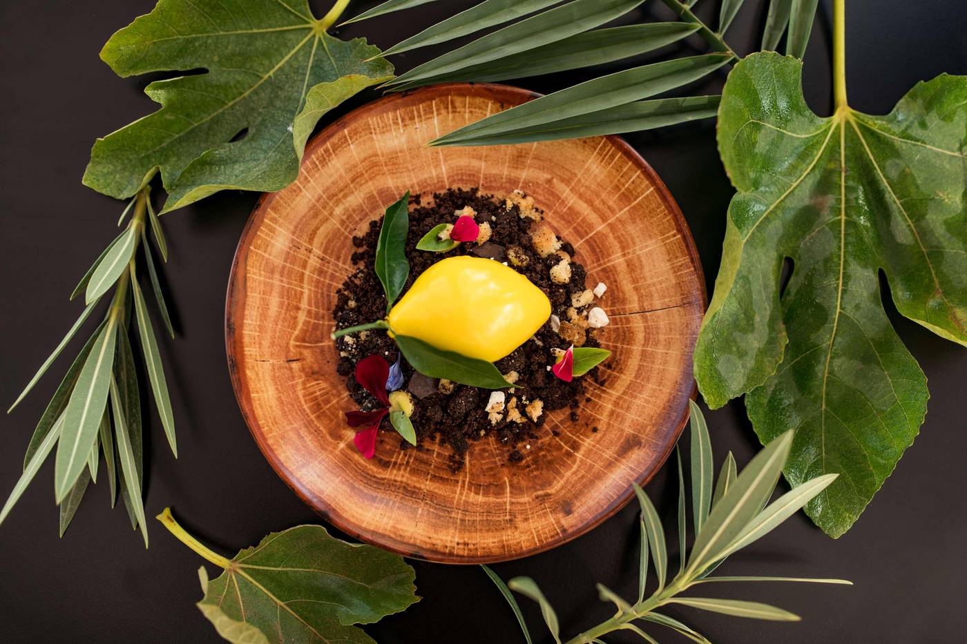 Radisson-Blu-Resort-Taghazout-Bay-Surf-Village-Restaurant-62