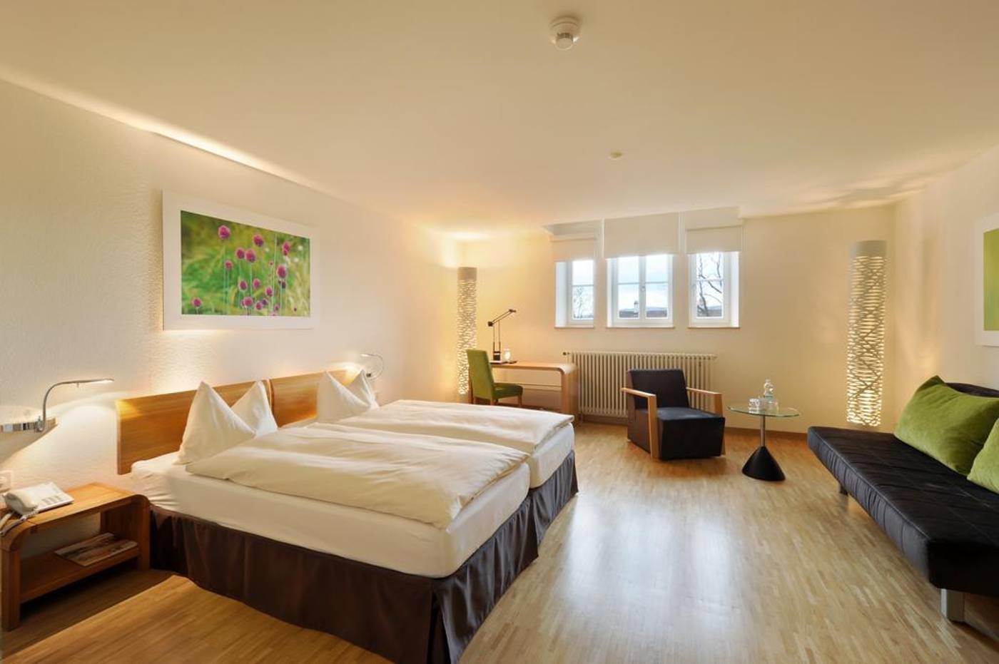 TOP Hotel ODELYA-Switzerland-BASEL-General view-7