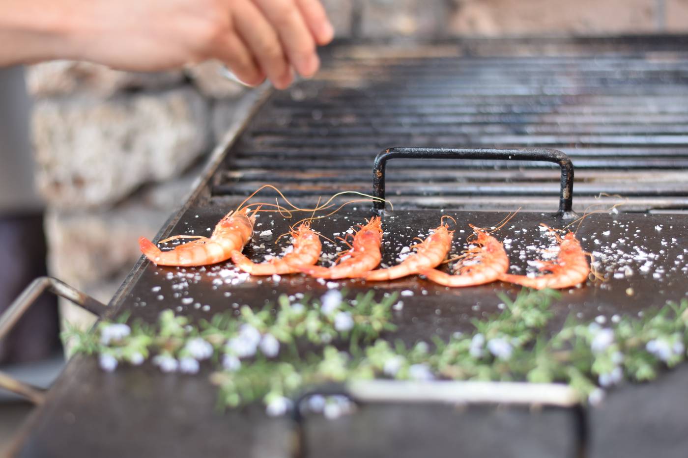 Torralbenc-Restaurant-19