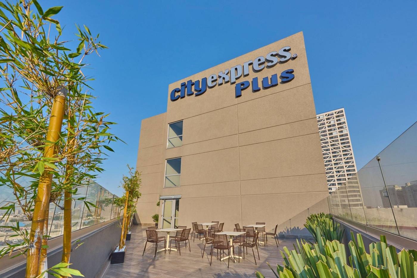 City Plus Patio Universidad-Mexico-CIUDAD DE MEXICO-General view-6