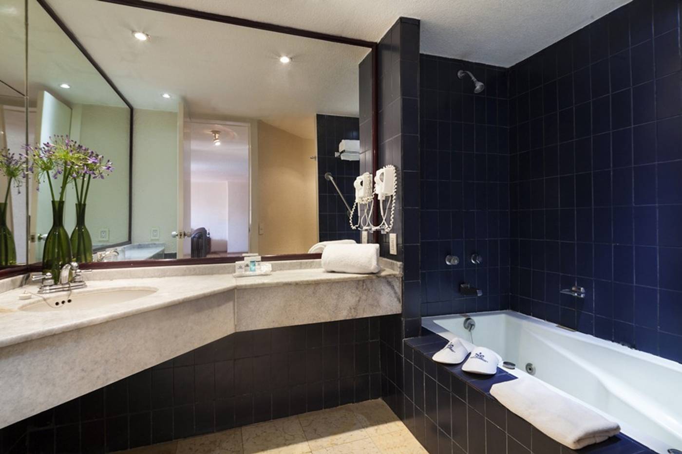 Exe Suites San Marino-Mexico-Ciudad De Mexico-General view-4