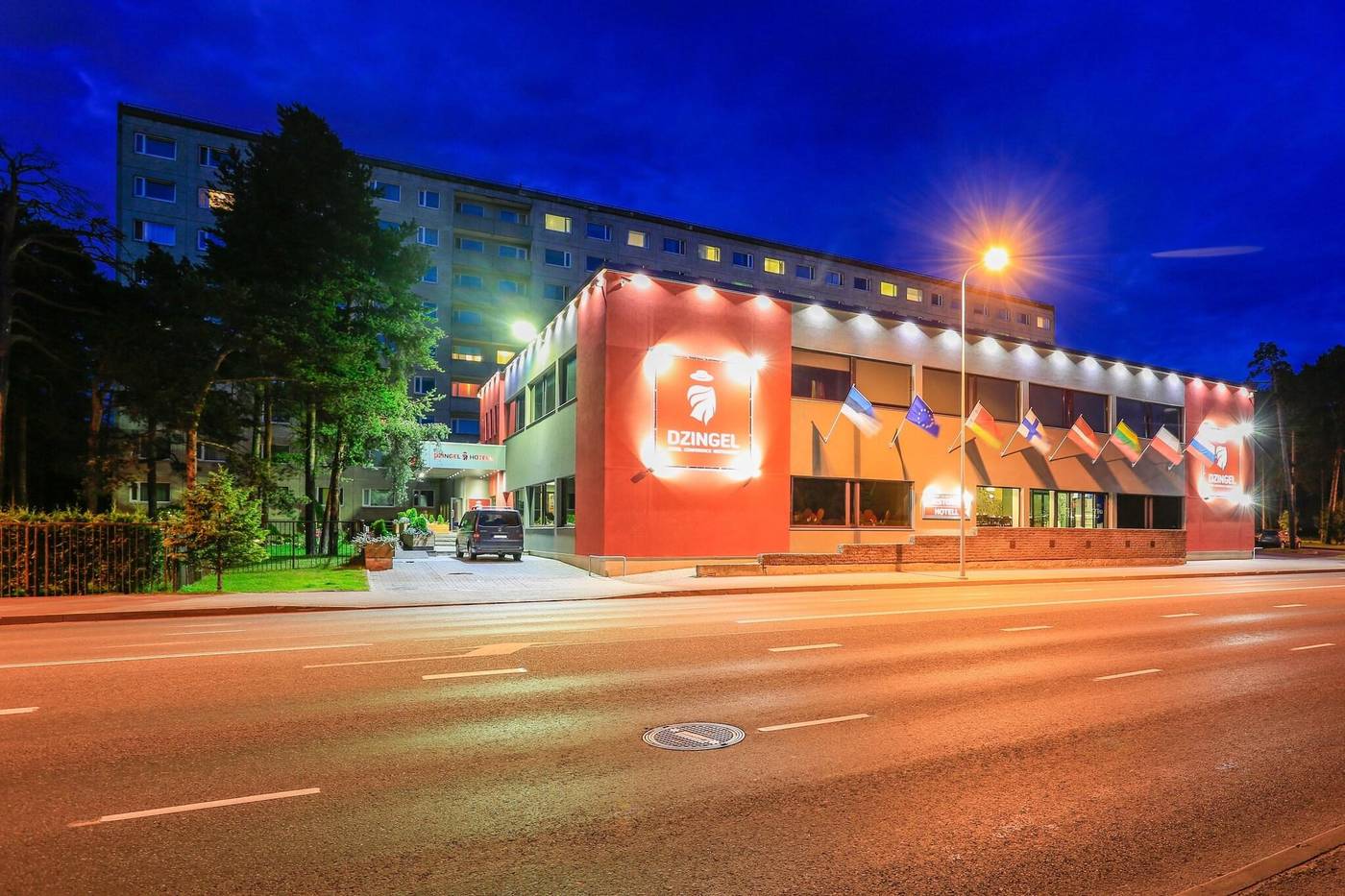 Dzingel-General-view-2