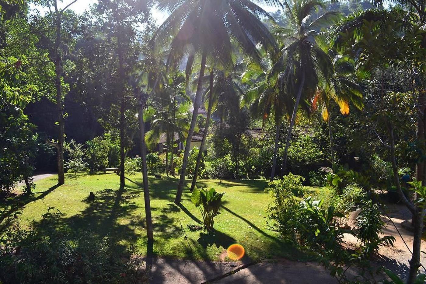 Sweet-Cinnamon-General-view-8