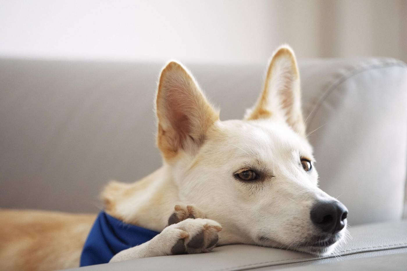 Delta-Hotels-by-Marriott-Jumeirah-Beach-General-view-50