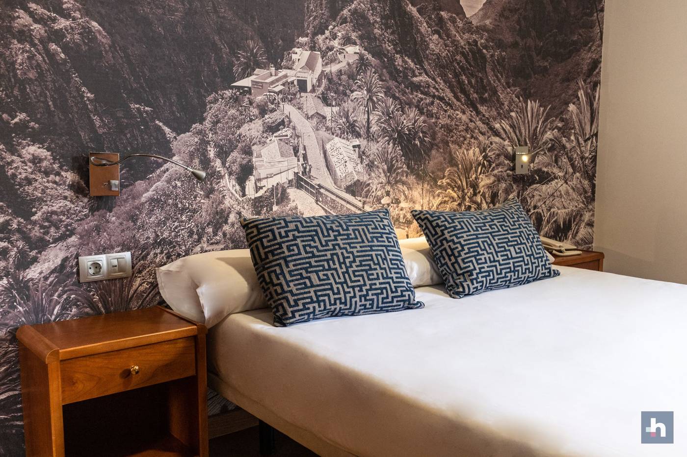 Adonis-Plaza-Room-15