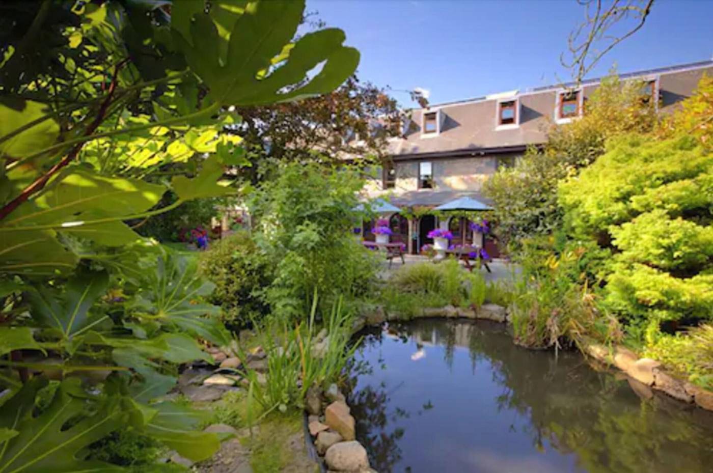 Le Friquet Country-United Kingdom-GUERNSEY-General view-5