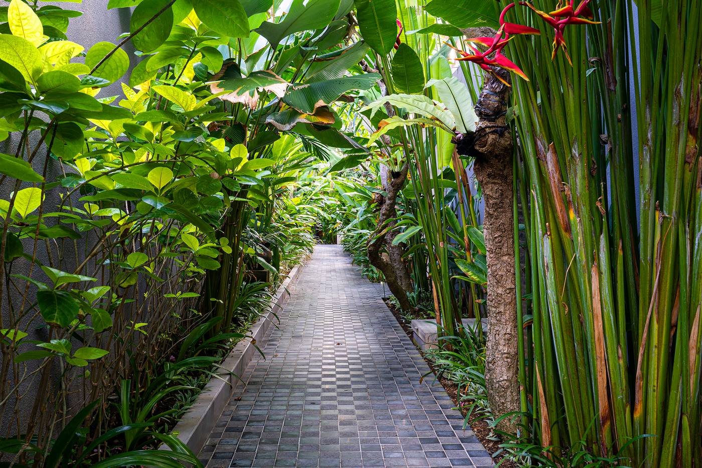 Lasanti Villas & Spa Seminyak-Indonesia-Seminyak-General view-1