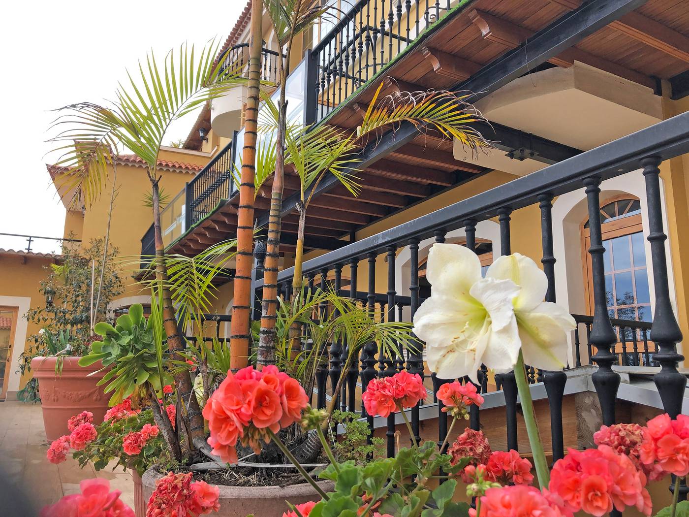 Estrella-Del-Norte-General-view-2