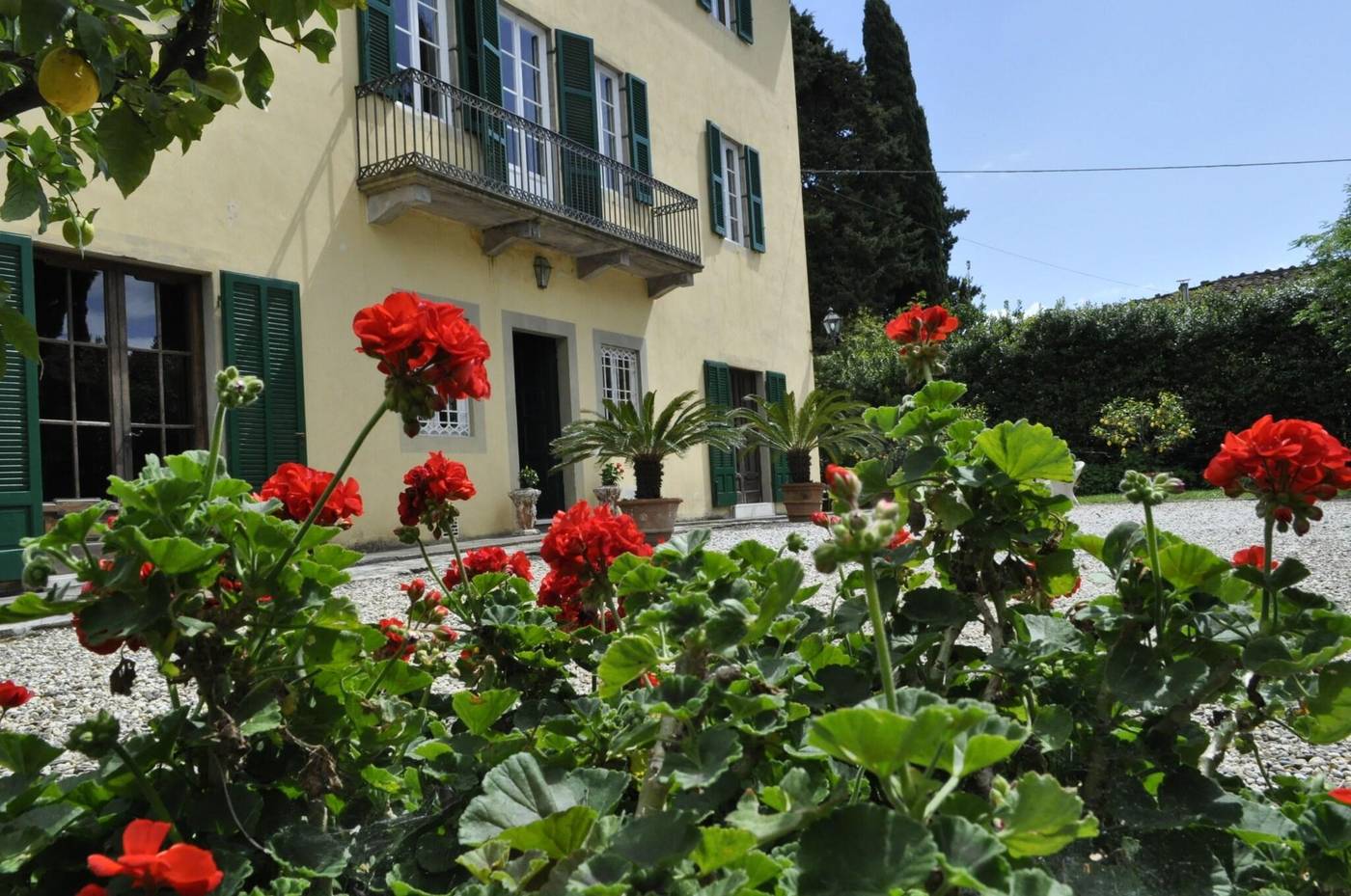 Agriturismo Villa Pedone-Italy-Lucca-General view-7