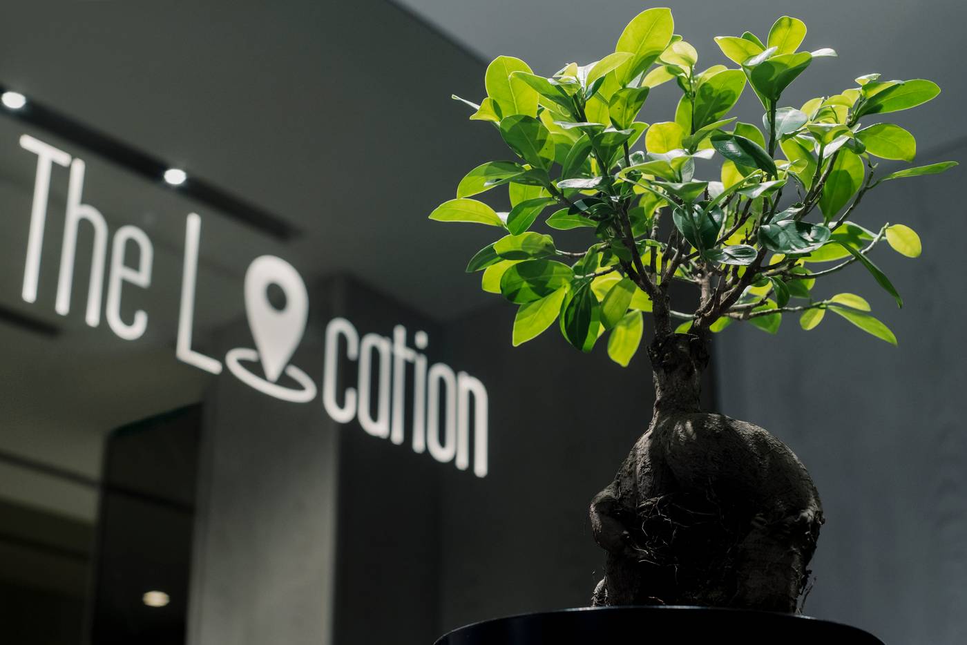 The Location Hotel-Serbia-Belgrade-General view-3