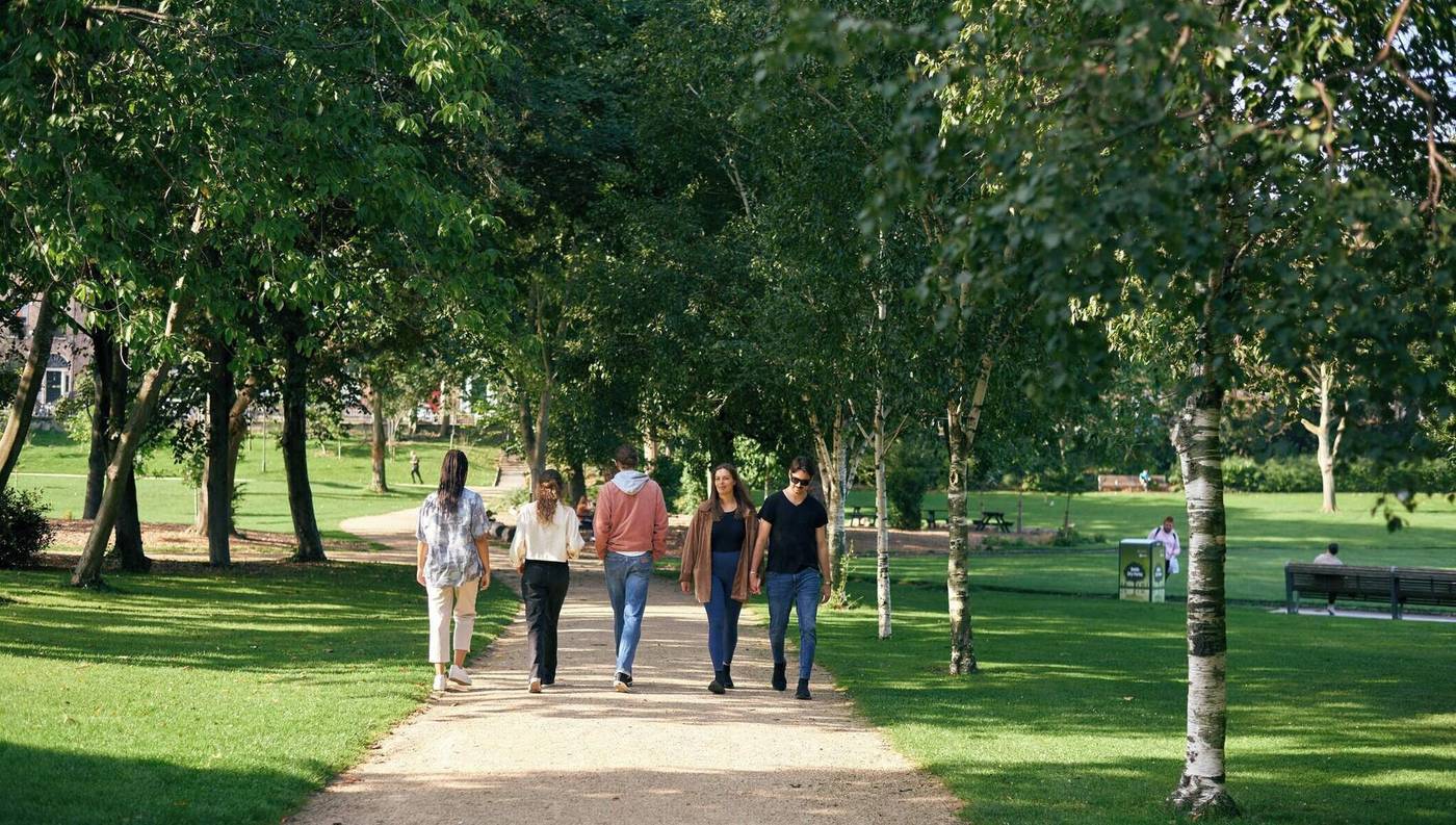 Mespil-General-view-46