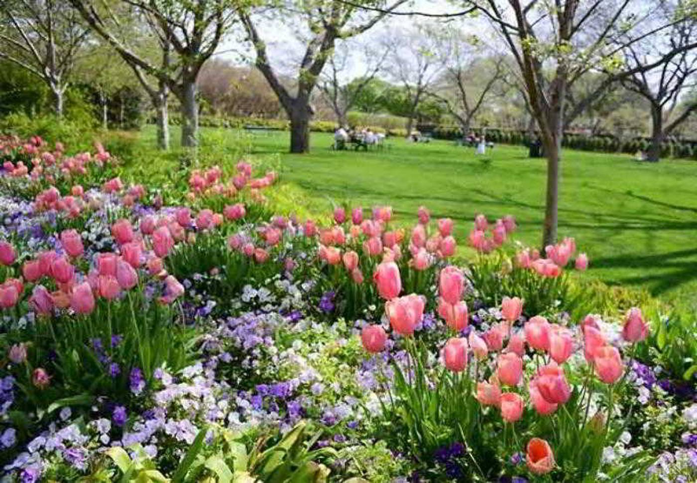 Courtyard Dallas Plano in Legacy Park-United States-PLANO-General view-4