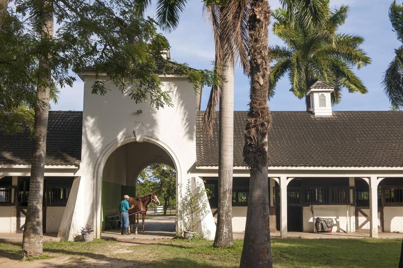 Half-Moon-Sports-and-Entertainment-18