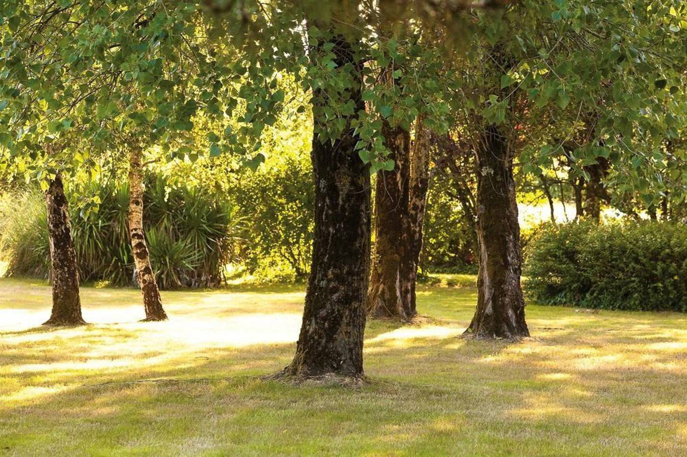 Kyriad Nantes Sud Bouaye Aeroport-France-Bouaye-General view-7