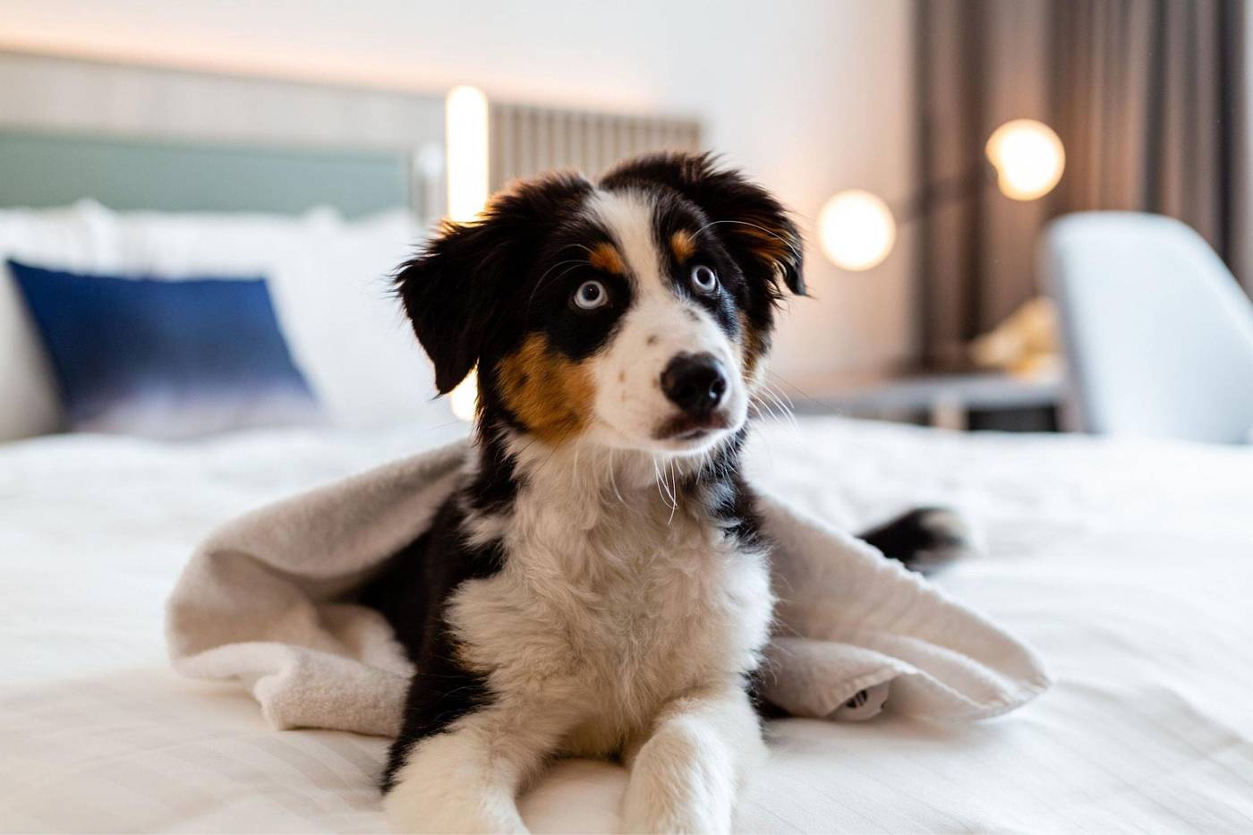 Courtyard-Berlin-City-Center-Room-41