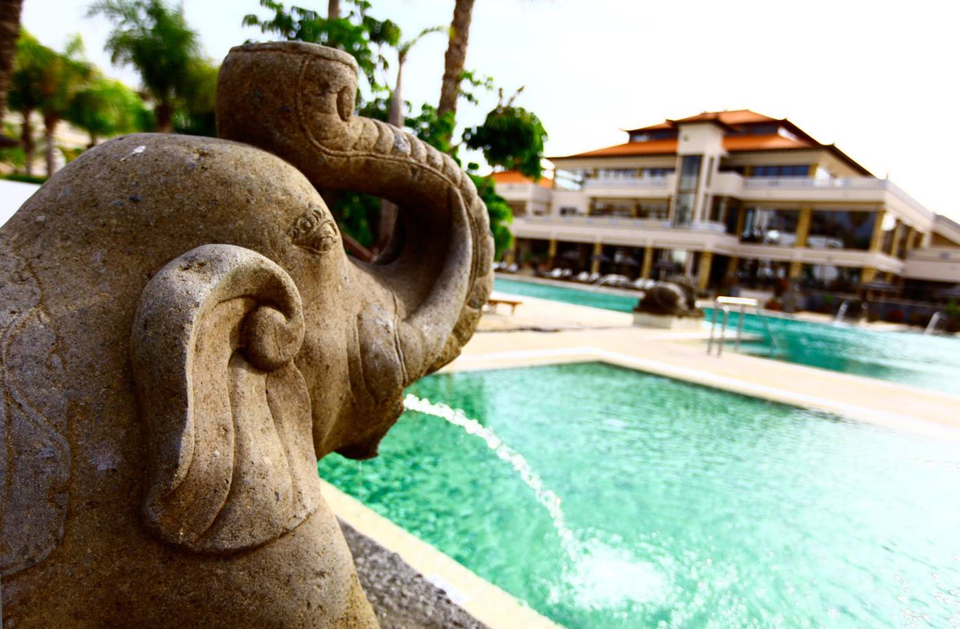 Regency-Country-Club-Pool-10