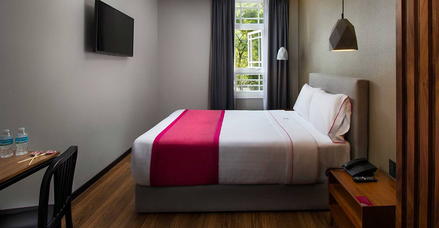 Hotel MX Reforma-Mexico-DELEGACIÓN CUAUHTÉMOC-Room-9
