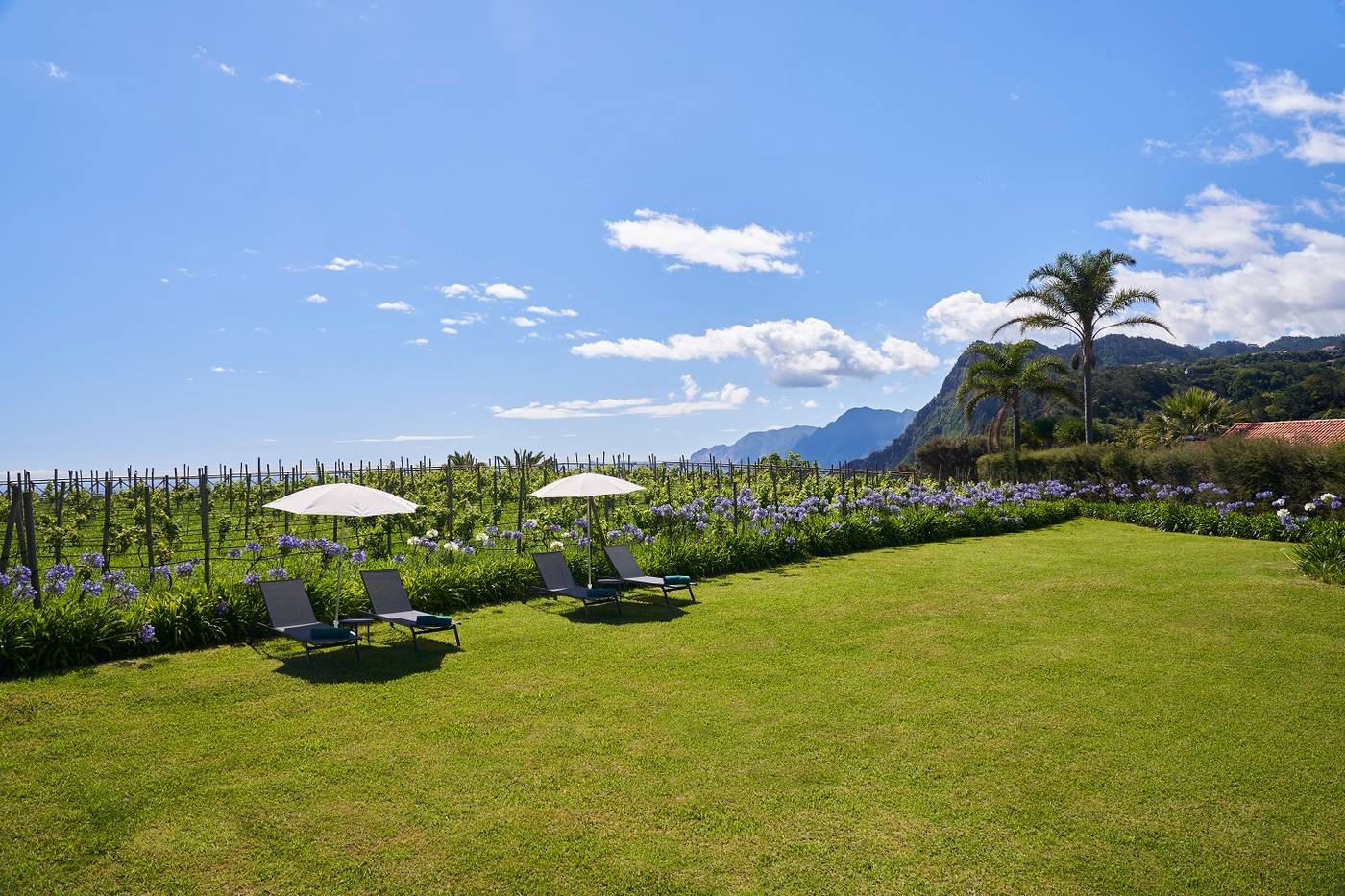 Quinta-do-Furao-General-view-7