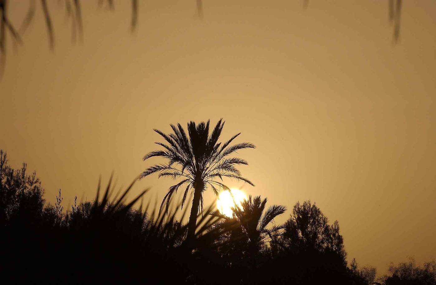 Barcelo-Palmeraie-General-view-94