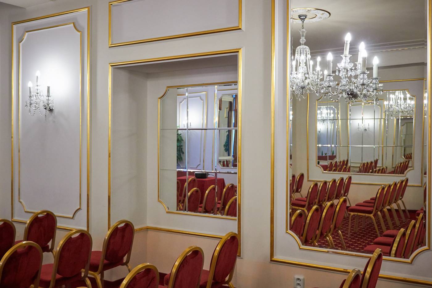 Ambassador-Zlat-----Husa-Conferences-55