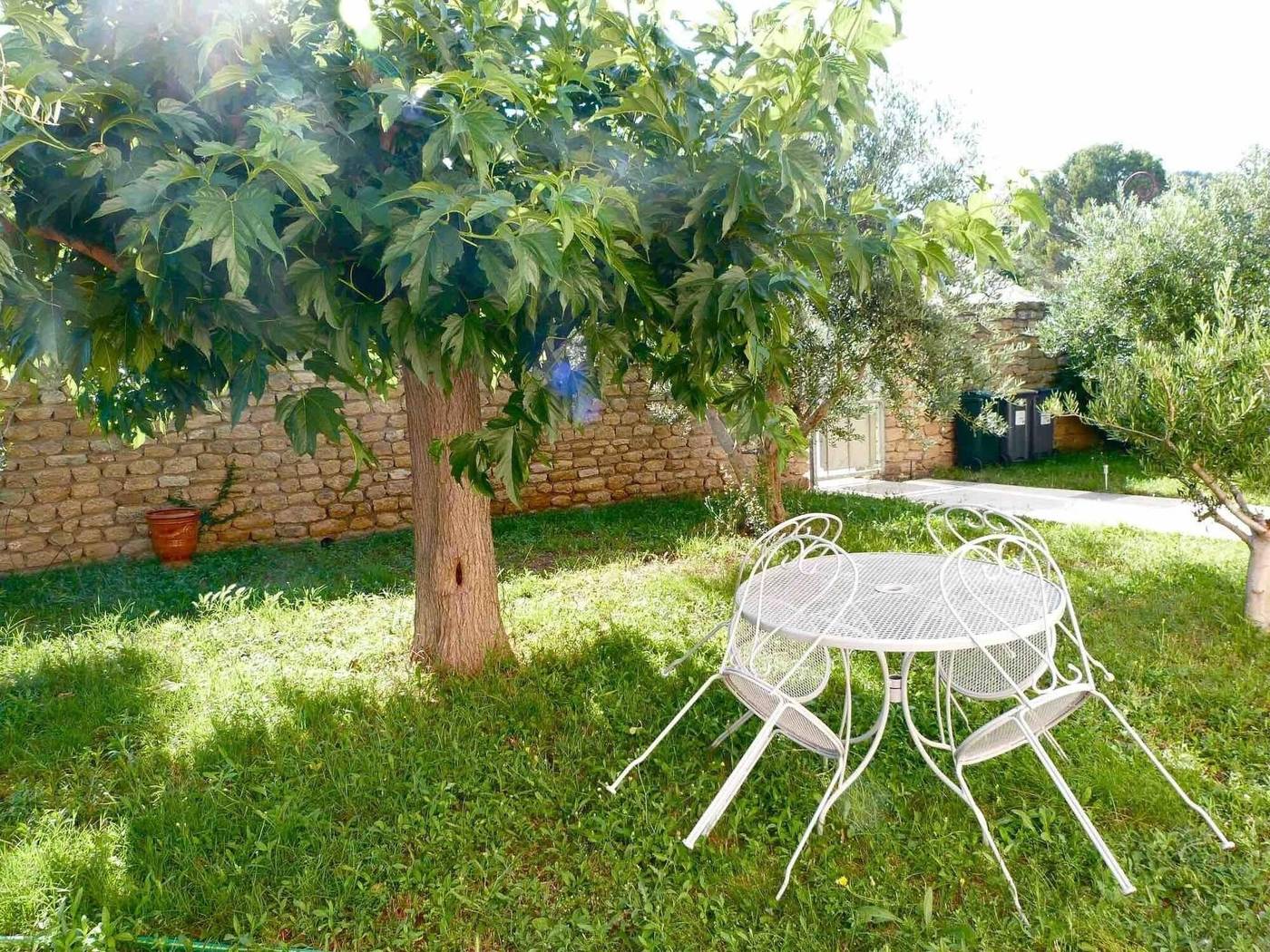 Salvaterra-France-SAUVETERRE-General view-3