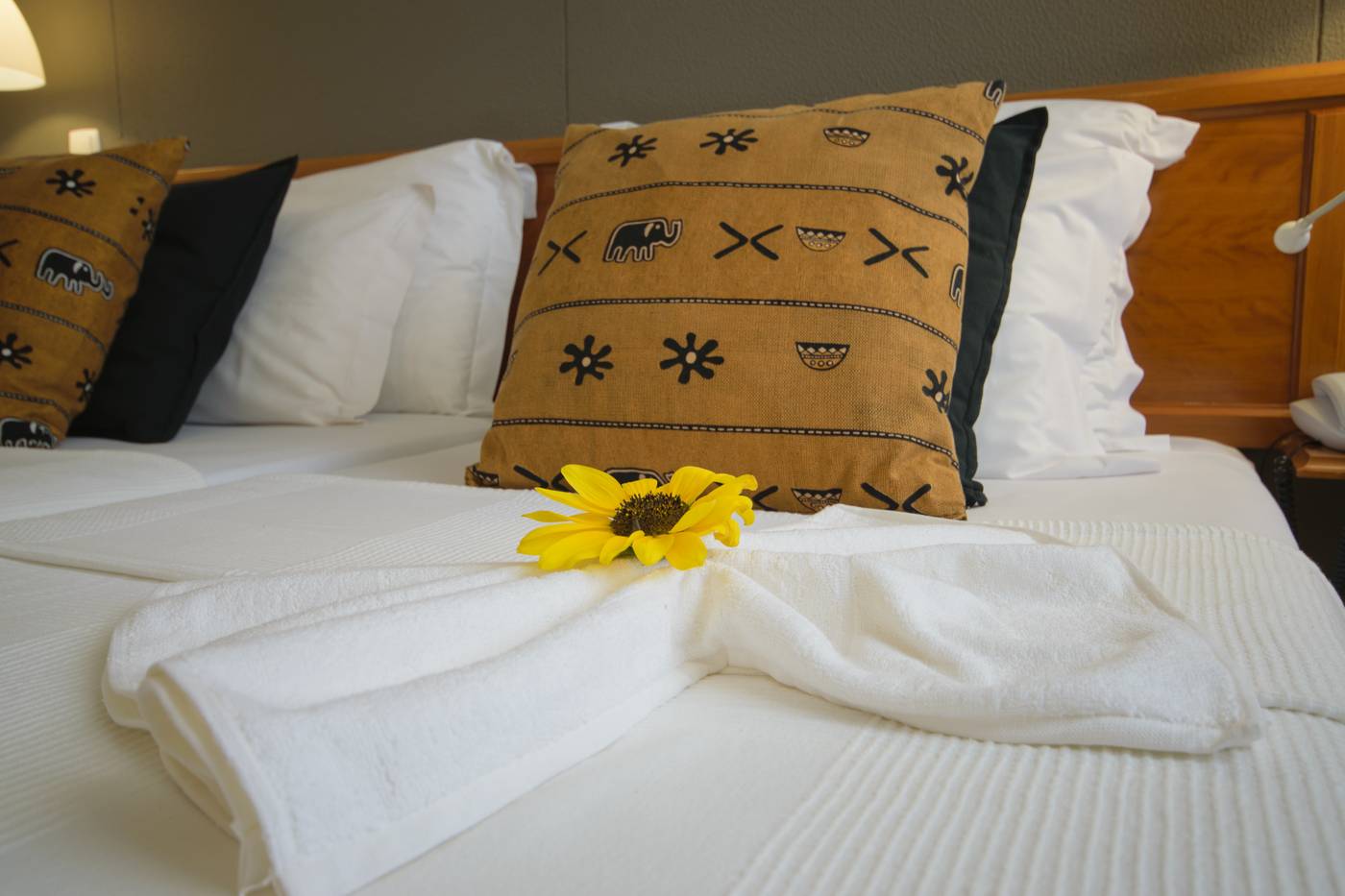 Oasis-Atlantico-Belorizonte-Room-31