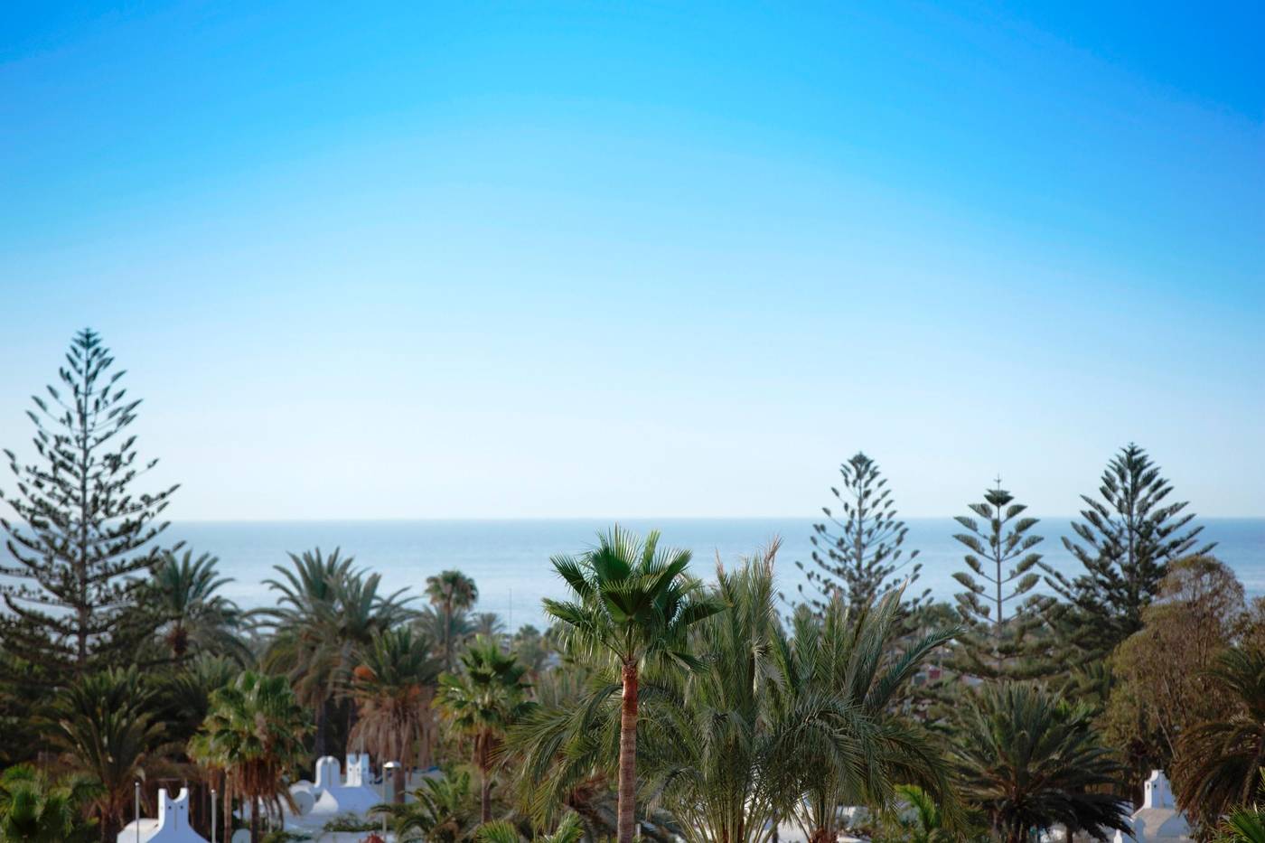 Playa-del-Sol-Apartments---Adults-Only-Terrace-59