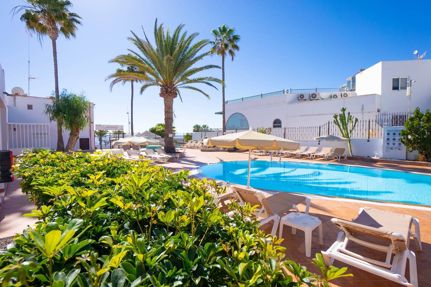 Flamingo-Apartments-Pool-4