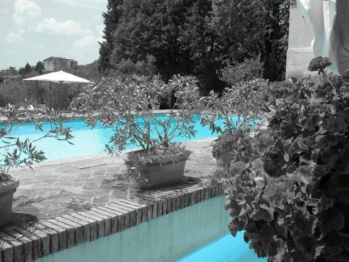 Certosa-di-Maggiano-General-view-69