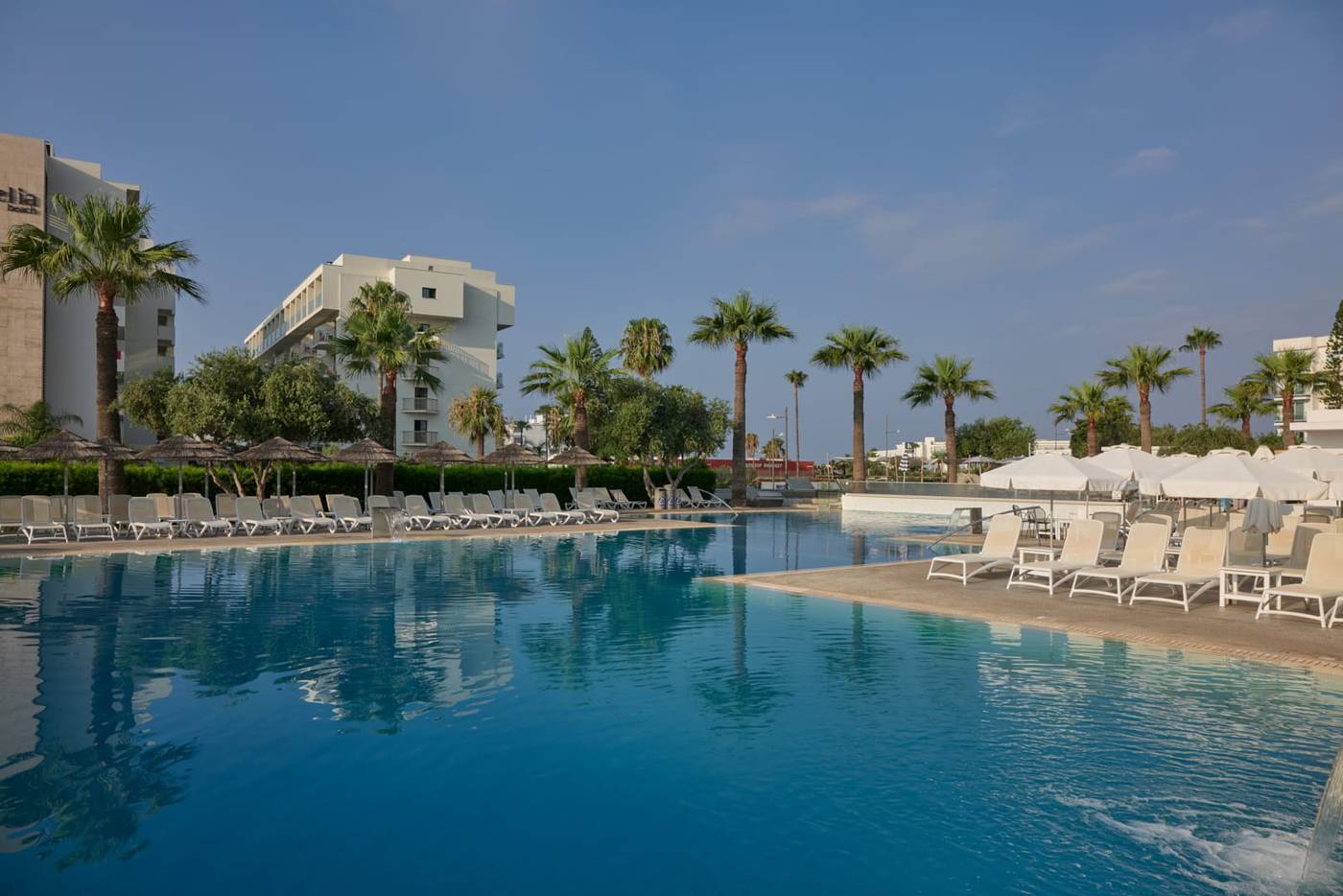 Atlantica Sancta Napa