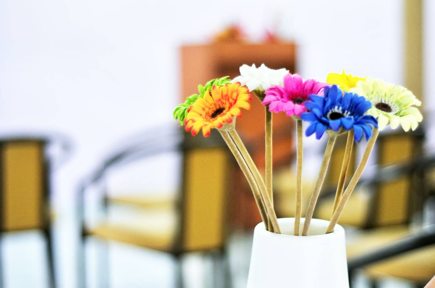 Pelin-Conferences-29