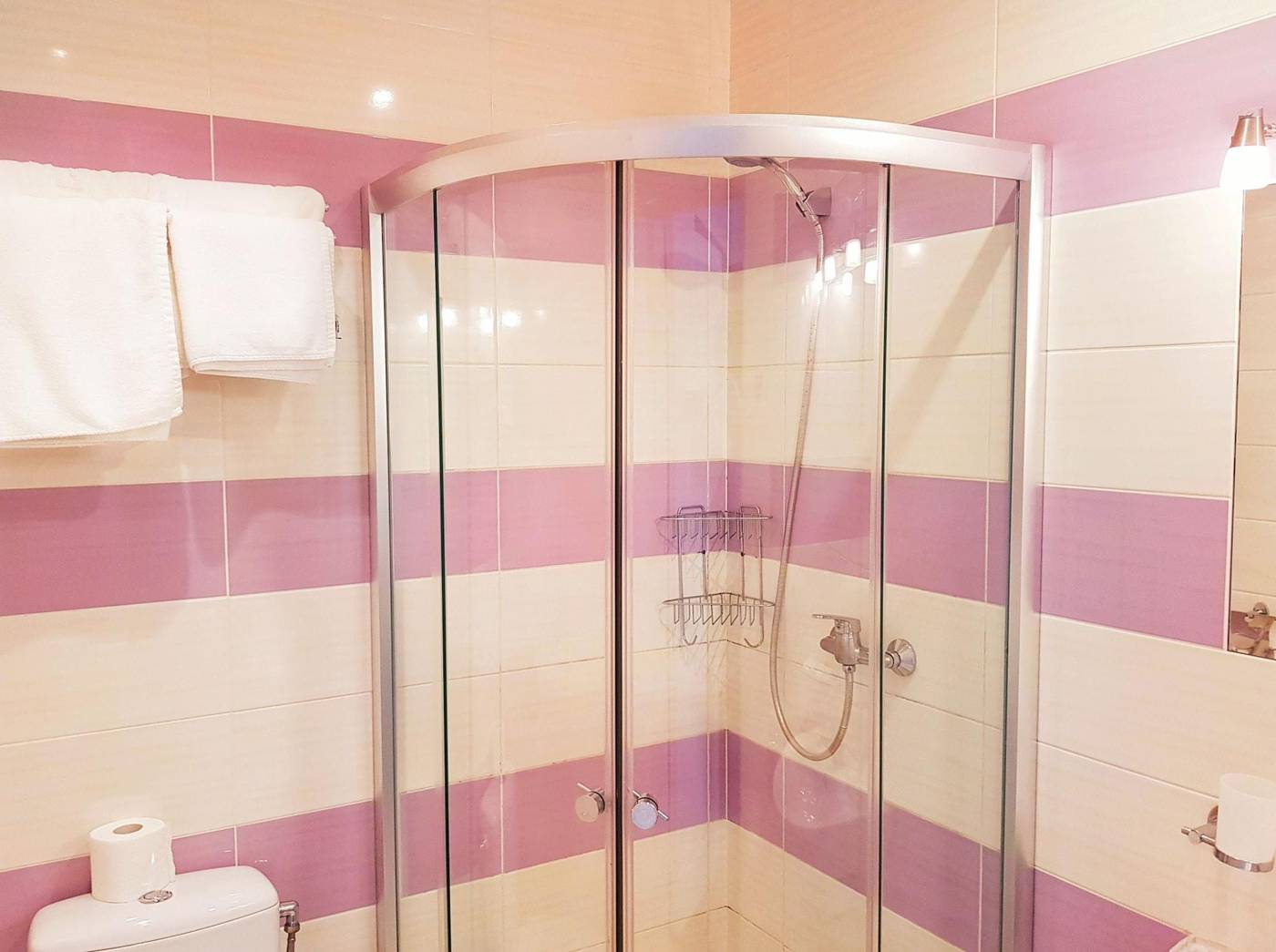 Vivulskio Hotel-Lithuania-VILNIUS-Room-7