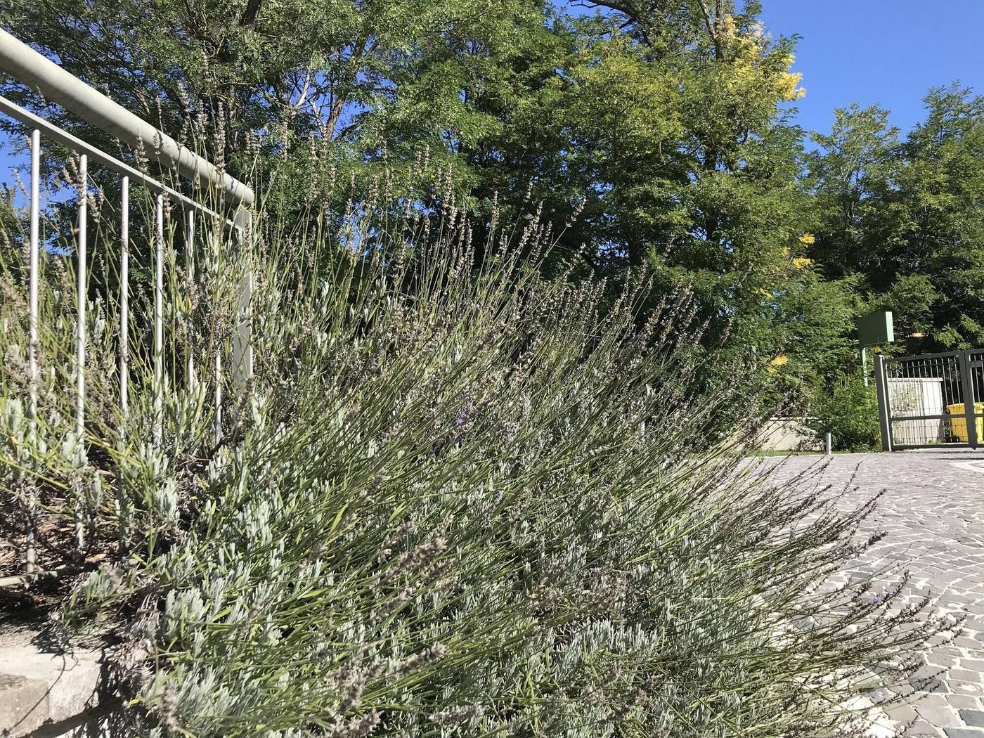 Oasi Del Vetoio-Italy-L'AQUILA-General view-4