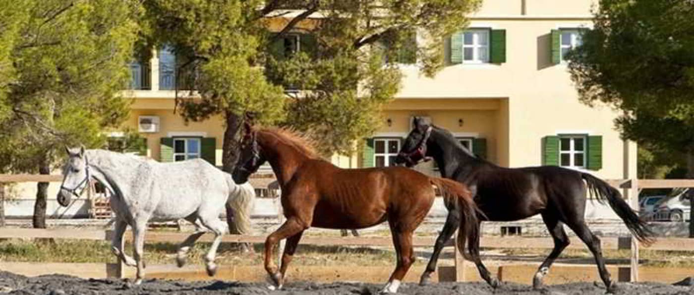 Hotel-Vrata-Krke-Sibenik-Sports-and-Entertainment-12