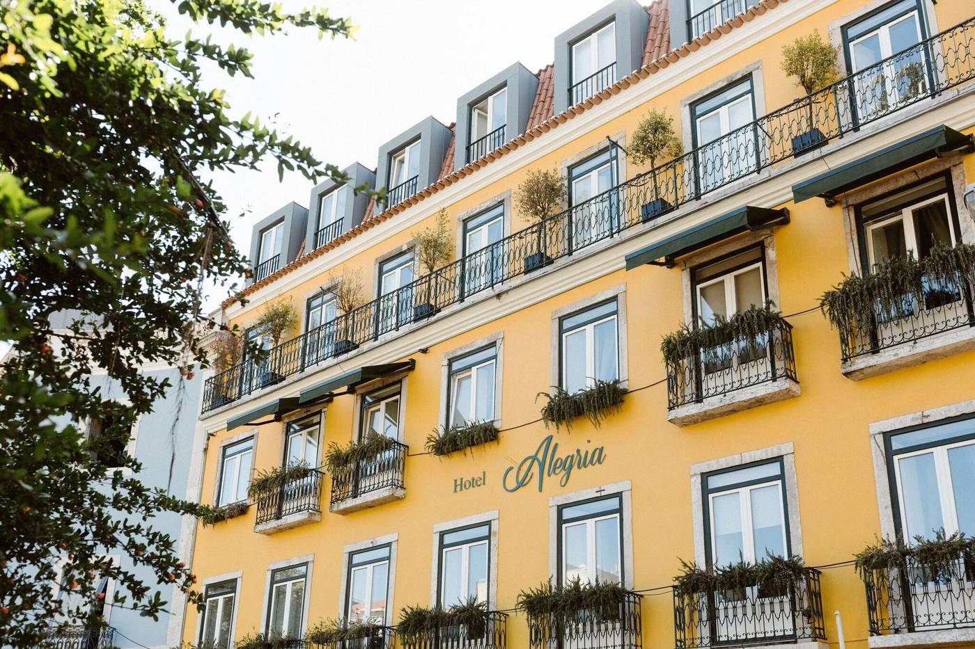 Alegria-A-Lisbon-Boutique-Hotel-General-view-1