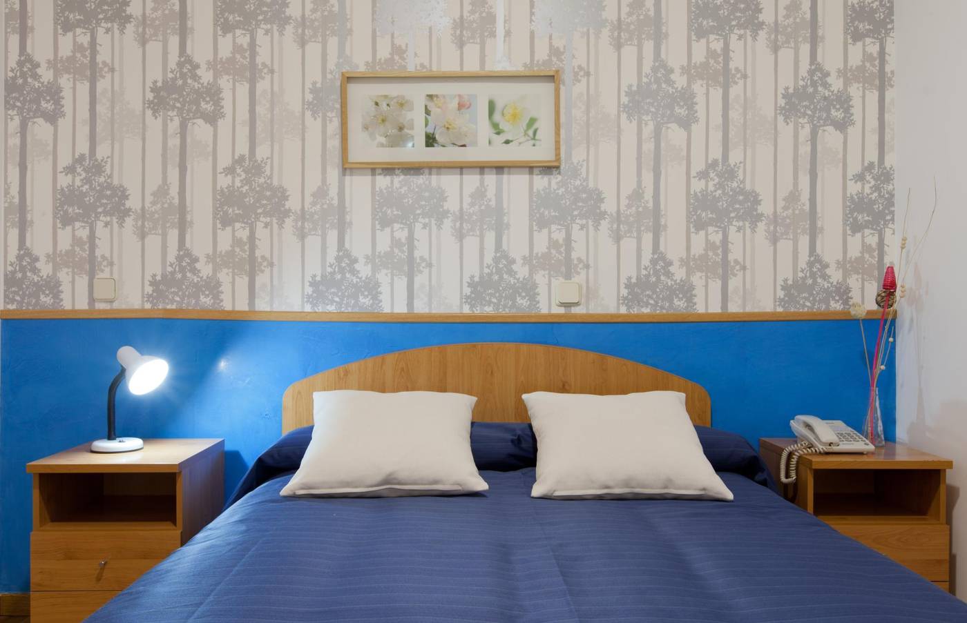 Hostal-Montaloya-Room-20