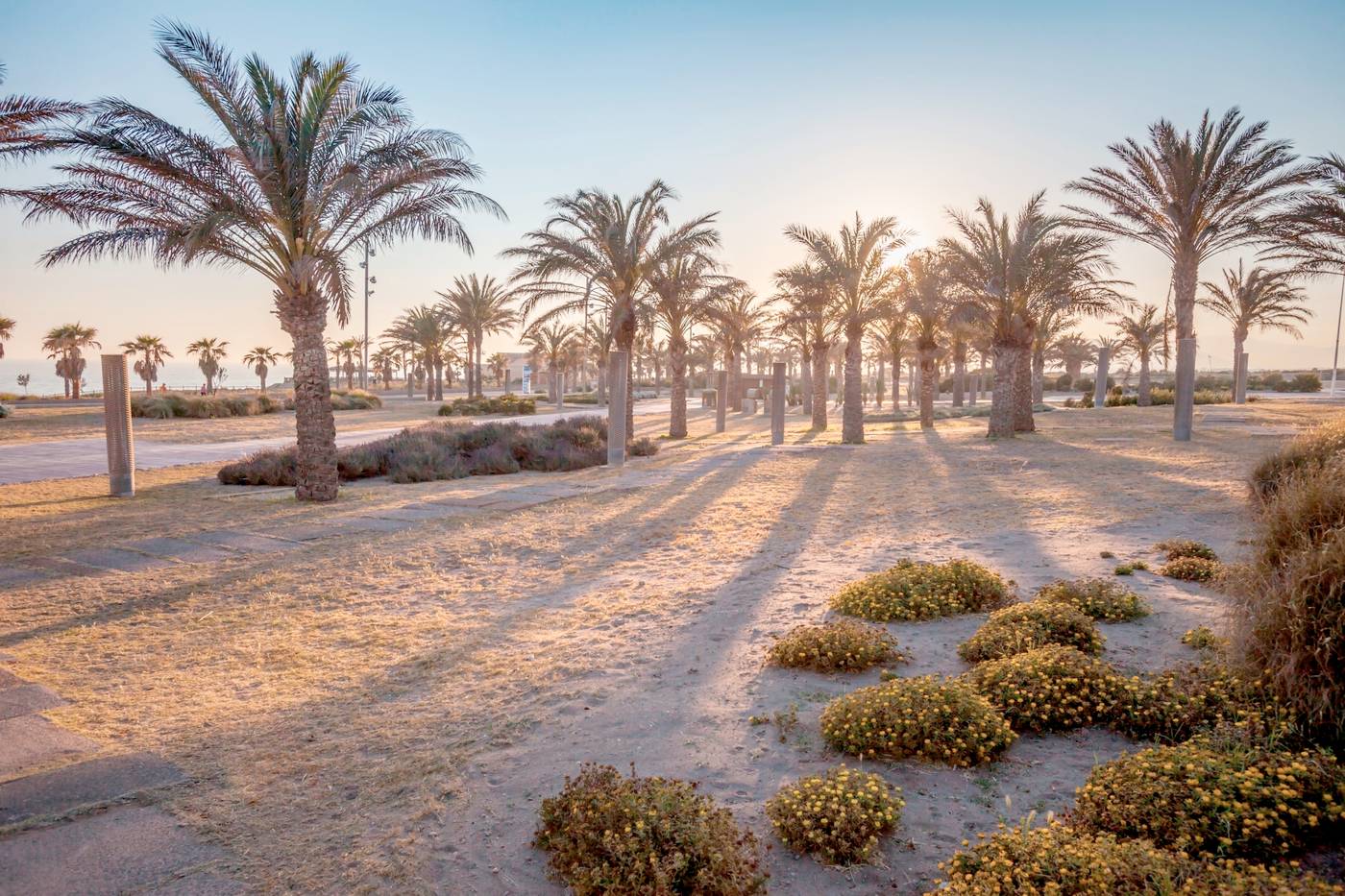 Barcelo-Cabo-de-Gata-Beach-76