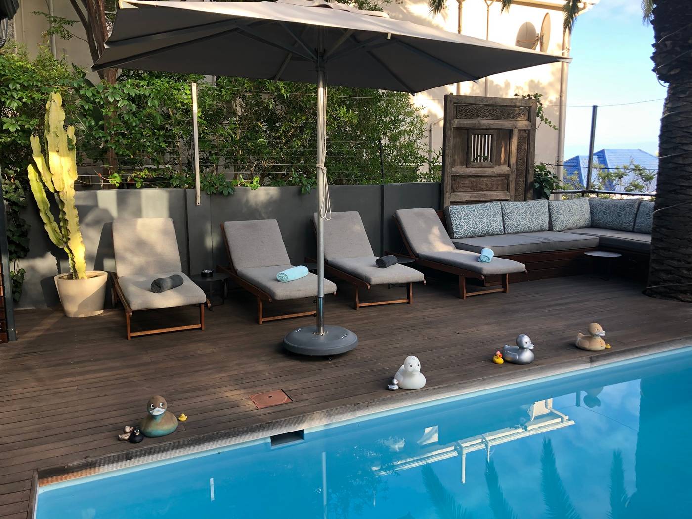 The-Tree-House-Boutique-Hotel-Pool-40