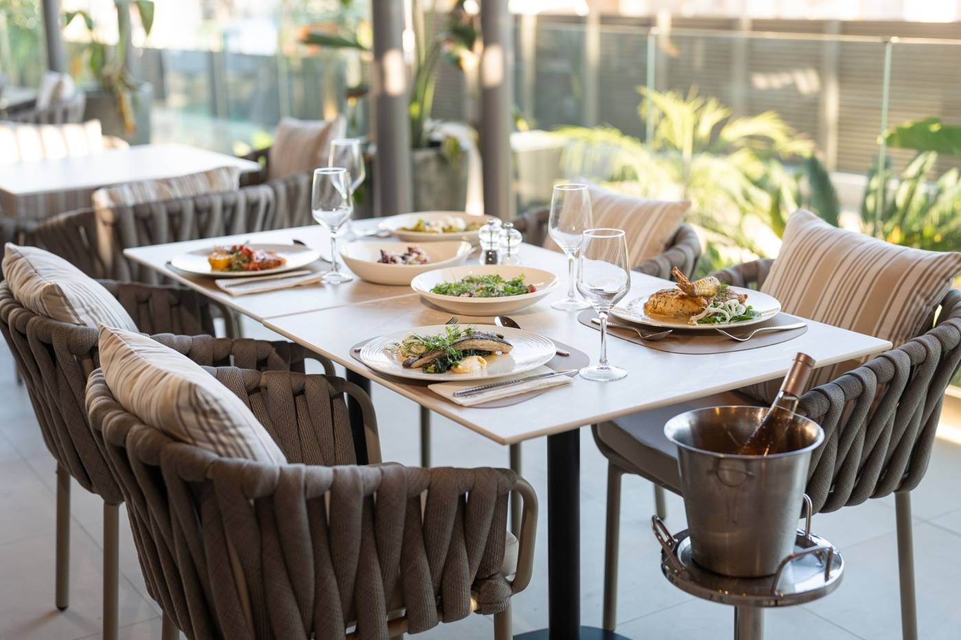 Alizo Comfort Chic Stay