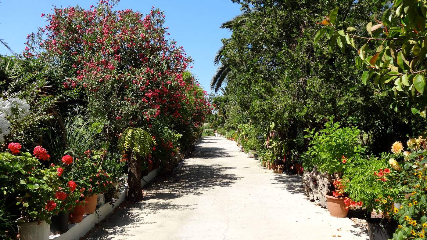 Baha-Ammes-General-view-9