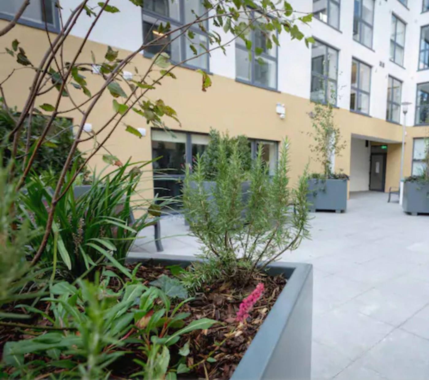 Swuite-Dublin-General-view-2