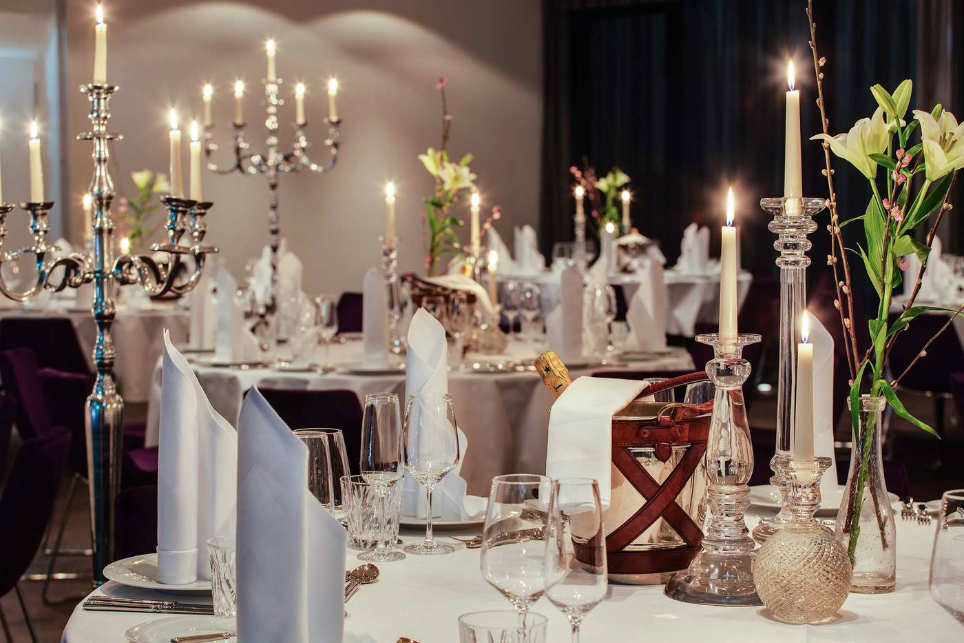 Zoo-Berlin-Conferences-24